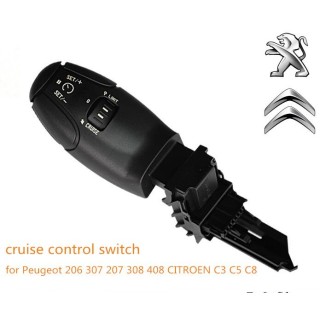 Control Crucero PEUGEOT 207 307 308 407